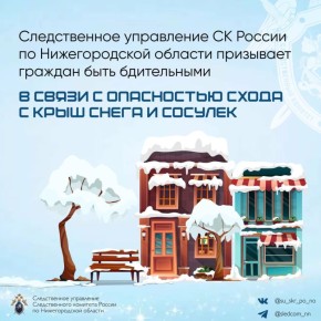 Следственное управление СК России по Нижегородской области призывает граждан быть бдительными в связи с опасностью схода с крыш снега и сосулек