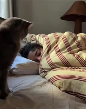 Уже просыпаться или поспать ещё?